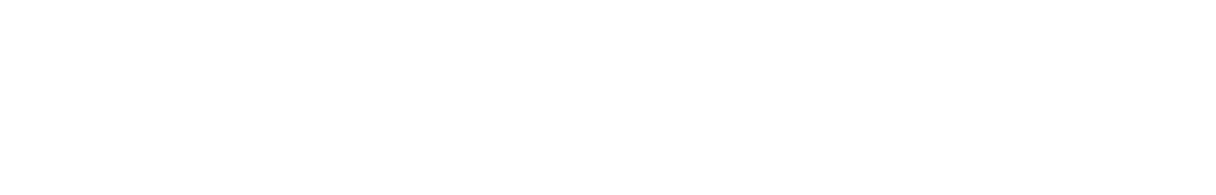 VisionemLabs